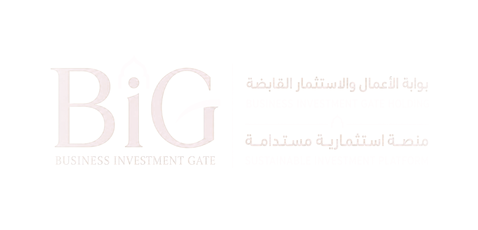 Big Investment Gate Holding